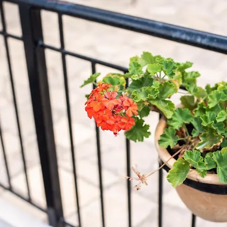 Lamprou Apartamento *