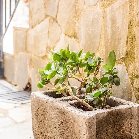 Apartamento Lamprou Kosmás