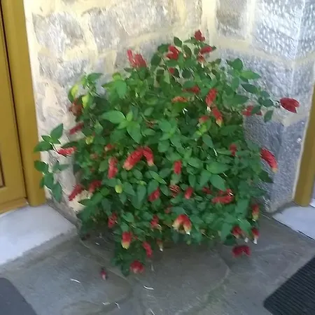 Lamprou Appartement *