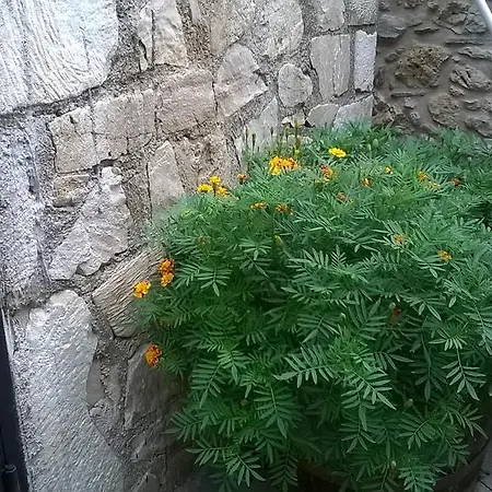 Apartamento Lamprou Kosmás