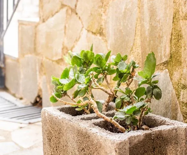 Apartamento Lamprou Kosmás