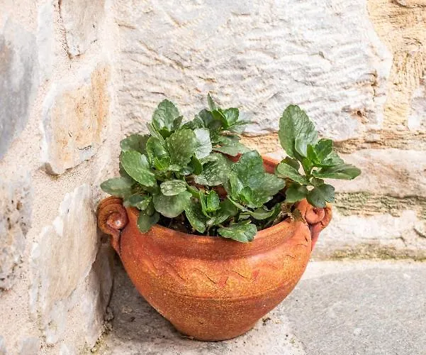 아파트 Lamprou Kosmás