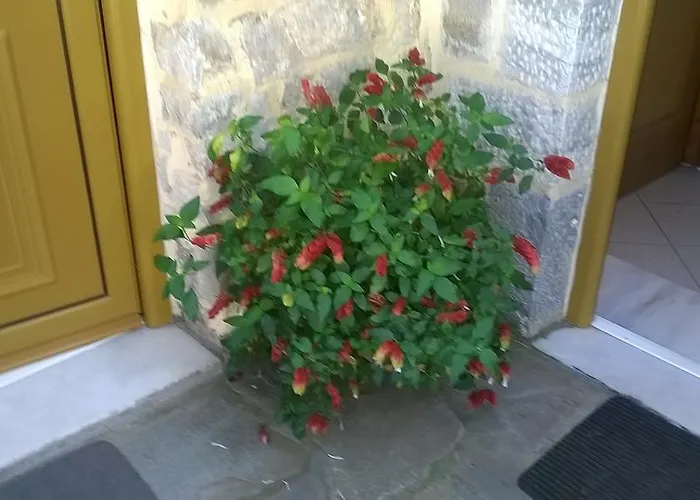 Lamprou Apartamento *